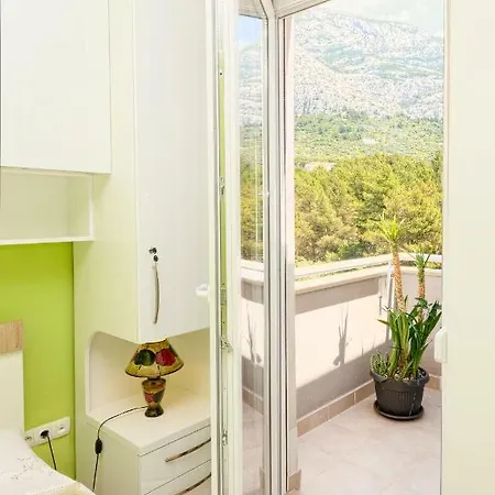 Marinovic מאקרסקה